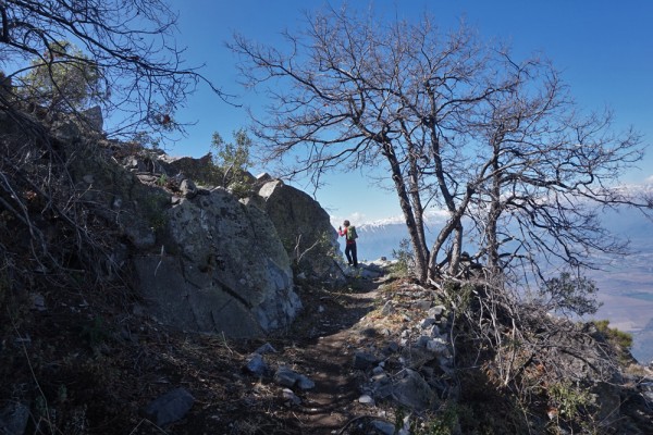 Curvas en el sendero