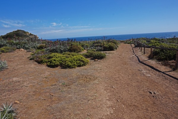 Sendero al Puquén