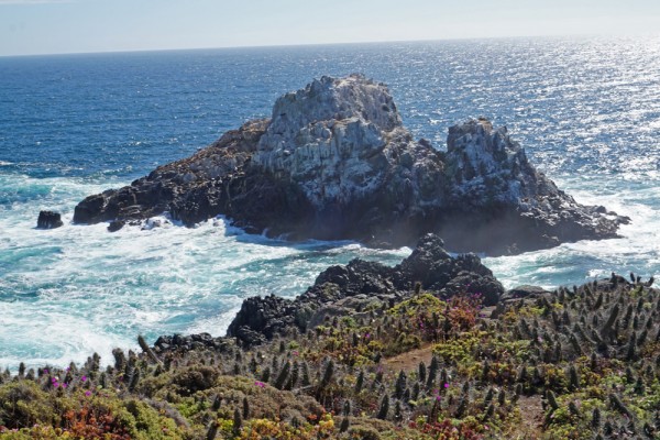 Isla de lobos