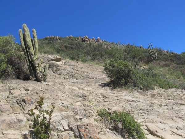 Cumbre a la Vista