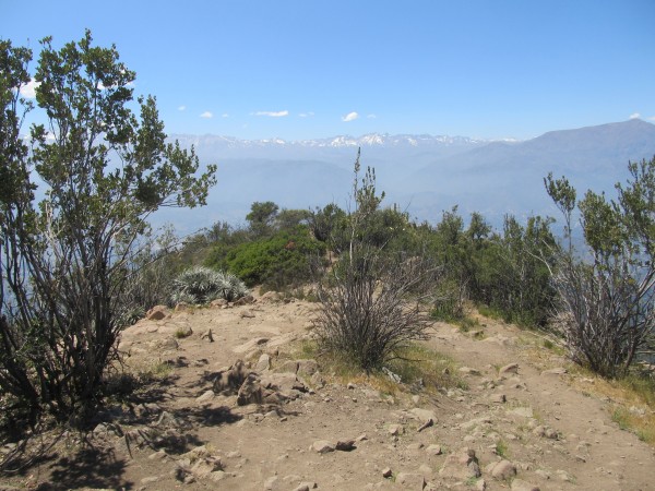 Meseta Cumbrera Manquehue