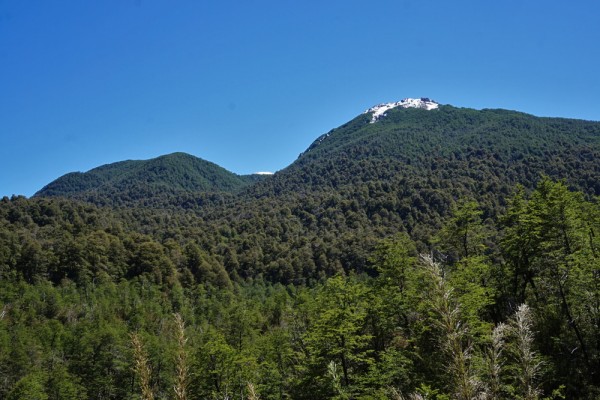 Cerro La Mona