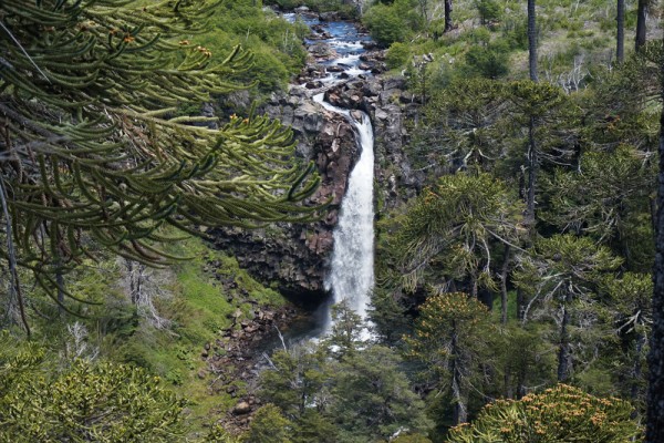 Cascada Coloco