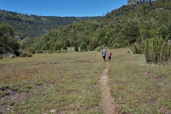 Antes de entrar al bosque