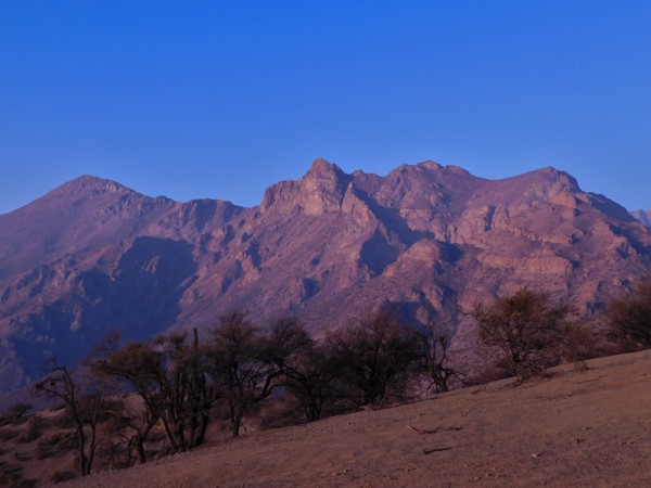 Cerros Algarrobo y Guanaco