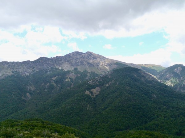 Cerro Mirador Aleman. 