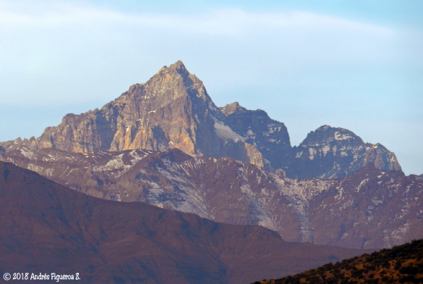 Torre de Flores