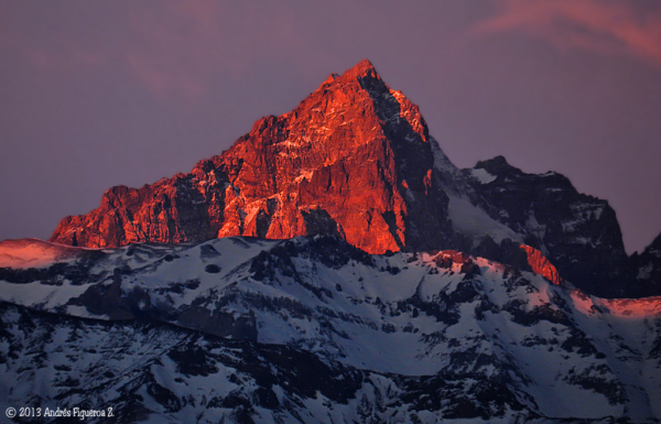 Torre de Flores