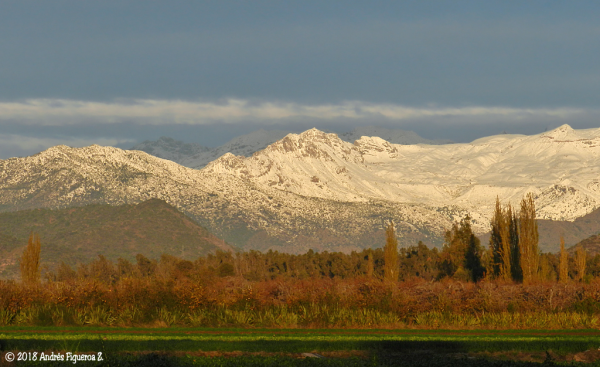 Cerro Piedra de Vásquez