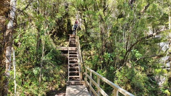 Escaleras a saltos 