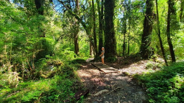 Sendero inicial