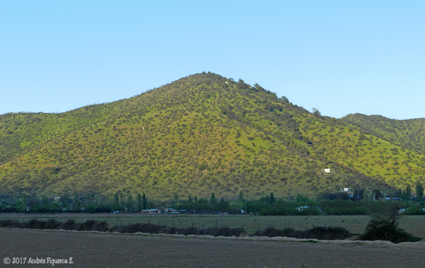Cerro Tuniche
