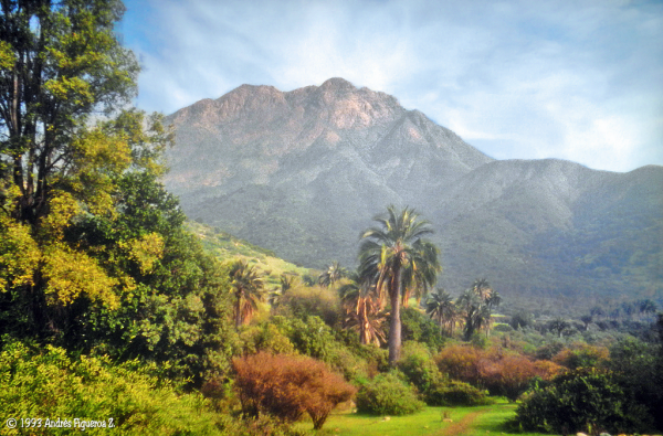 Cerro La Campana