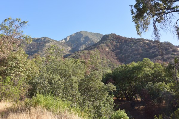 Vista al Manquehue