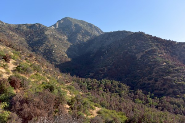 Vista hacia el Manquehue