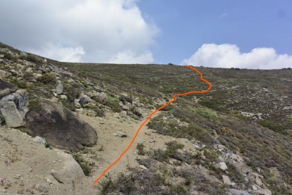 Bajando hacia la quebrada del estero La Leonera