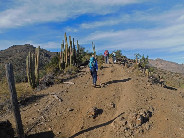 Sendero junto al cerco