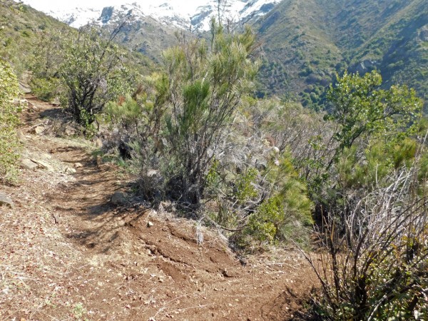 Desvío hacia el fondo de la quebrada