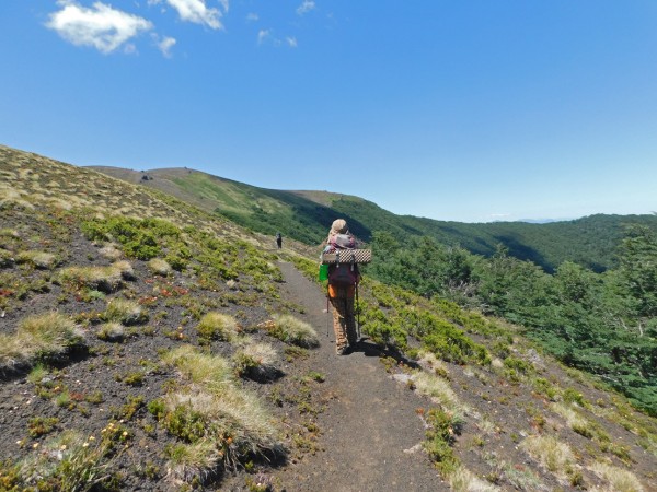 Salida del bosque