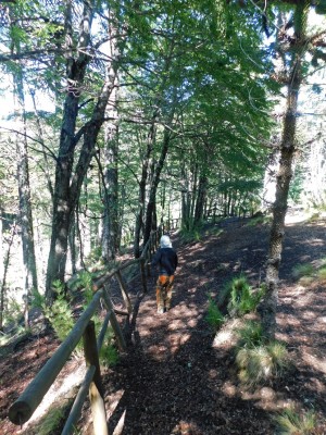 Sendero paralelo al río