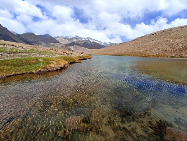 Laguna de los Patos