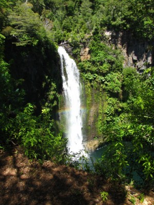 Salto del Malleco Salto del Malleco