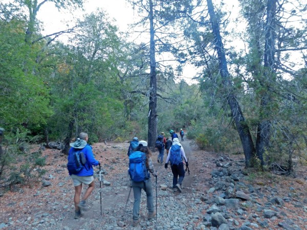 Sendero por el bosque