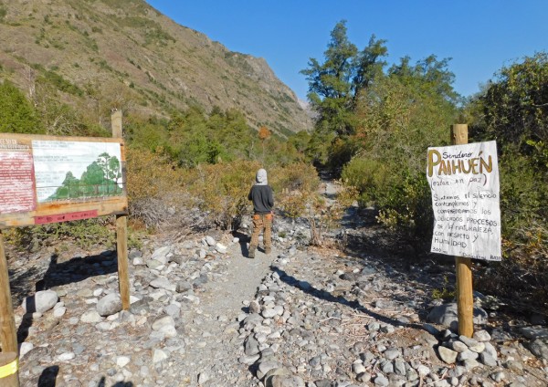 Entrada a sendero Paihuén