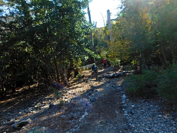 Sendero a la salida del camping