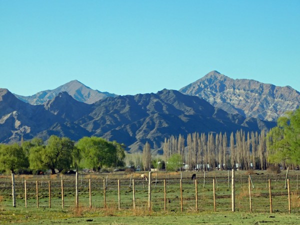 Colorado y Sarnoso