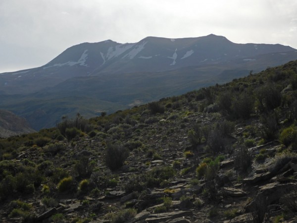 Vista al Palau Mahuida