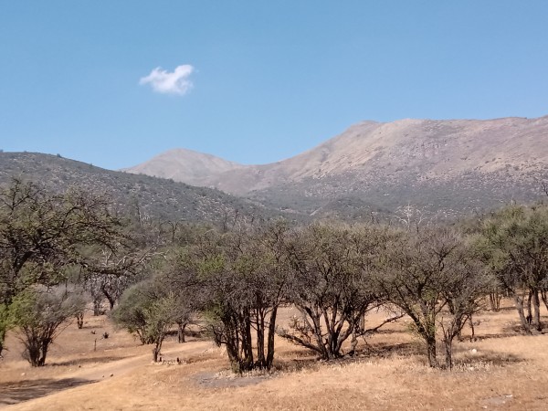 Desde la ruta Desde la ruta
