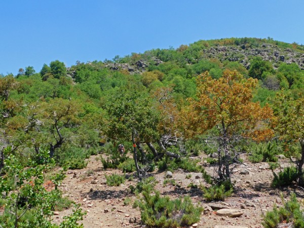 Ascenso por el filo hacia la meseta