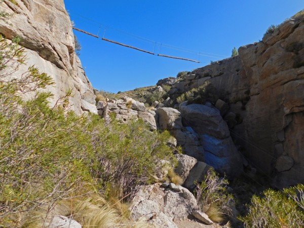 Sendero bajo pasarela