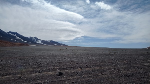 Camino hacia el punto de partida