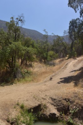 Desvío a quebrada Agua del Palo