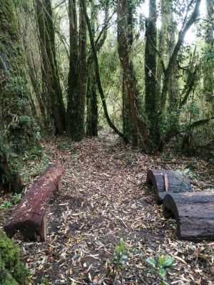 Bancas en el sendero para descanso