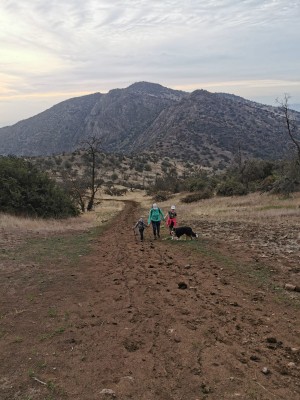 Excursión familiar