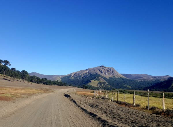 Camino valle Mellizas 
