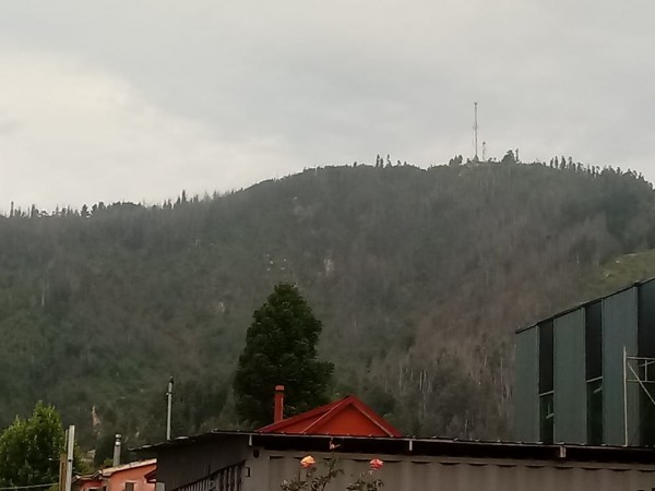 Cerro Manquimávida