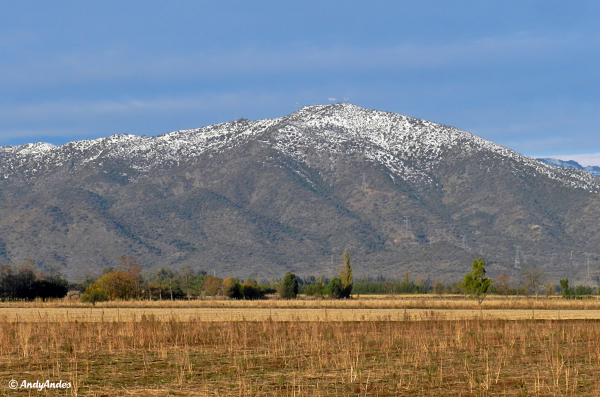 Monte del León (o Nogalillo) 