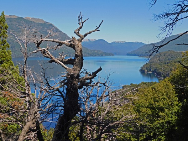 Mirador del lago Lolog