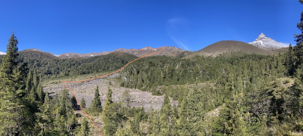 Ruta Ruta