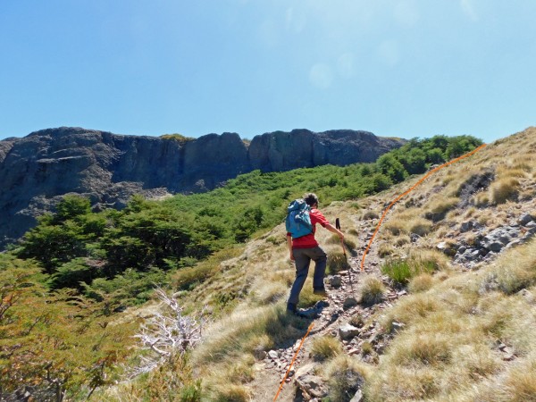 Saliendo del bosque de ñirres