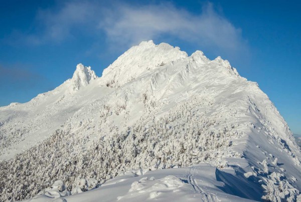 Sarnoso al día siguiente de una gran nevada