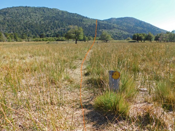 Senda al otro lado del arroyo