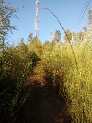 Cerca de la cumbre