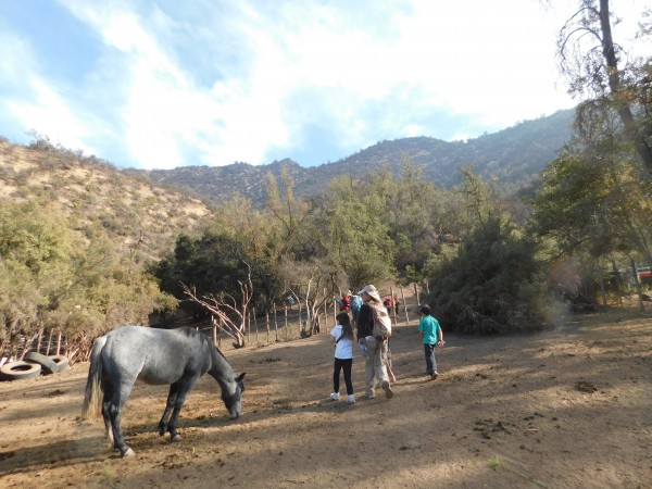 Inicio del sendero