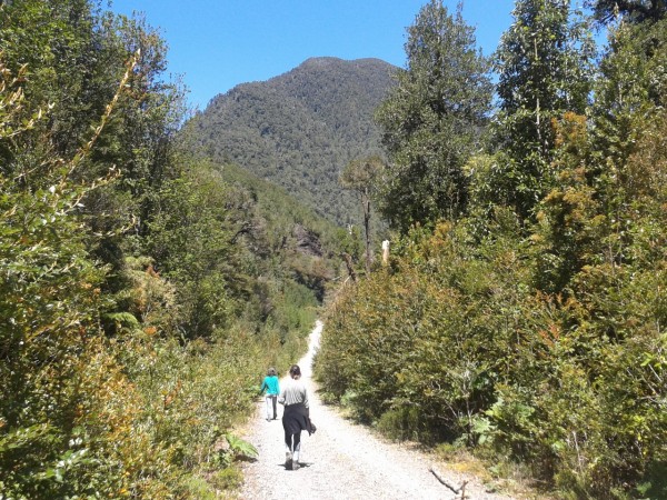 Sección camino de ripio