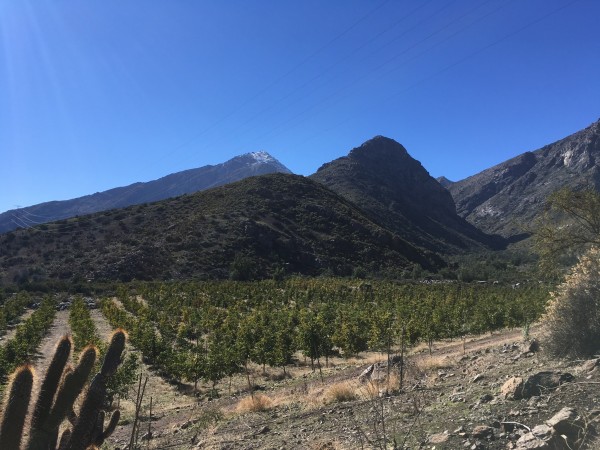 Morro La Cabra